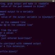 Bash Scripting Basics Part 1