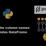 Get The Column Names Of A Pandas DataFrame