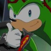 A Scourge The Hedgehog Tribute