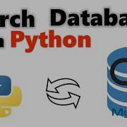 How To Retrieve Data From Database Based On User Input Using Python