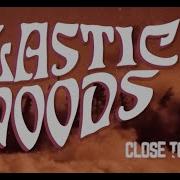 Plastic Woods Close To The Void