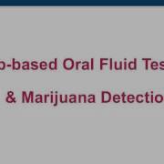 How Drug Free Is Your Workplace If You Re Not Random Testing