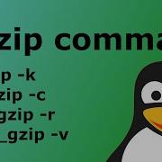 How To Compress Files In Linux Gzip Command