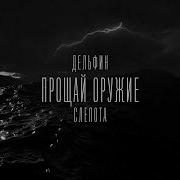 Дельфин Слепота Audio
