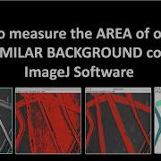 How To Measure The AREA Of Objects Having Similar Background Color Using ImageJ Software