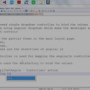 AngularJS MVVM Pattern With ASP NET MVC