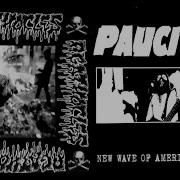 Agathocles Paucities Split 2012