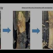 EAB In Vancouver BC 2023 And 2024
