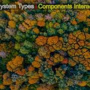 Interaction Between Components Of Ecosystem Abiotic Ecosystem Biodiversity Ecosystems Ecology