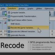 SPSS Recode Işlemi