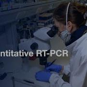 Quantitative RT PCR Of Nanofluidic Samples Protocol Preview