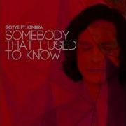 Vocal Only Gotye Somebody That I Used To Know Without Pauses