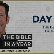 Day 150 The Dedication Of The Temple The Bible In A Year With Fr Mike Schmitz