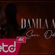 Damla Acar Sarı Odalar