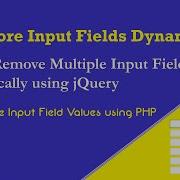 Add Remove Input Fields Dynamically Using JQuery