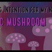 Psilocybin Therapy Set Setting Intention Magic Mushroom Trip After Clinical Trial Experience