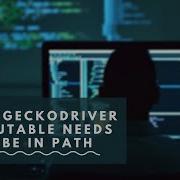 Fixed Geckodriver Executable Needs To Be In Path