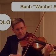 Bach Wachet Auf