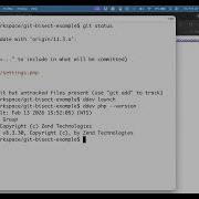 Git Bisect For Fun And Profit