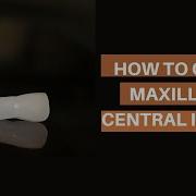Wax Carving Tutorial Easy To Follow