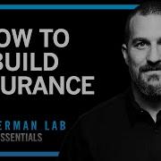 How To Build Endurance Huberman Lab Essentials