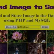 Upload And Store Image File In Database Using PHP And MySQL