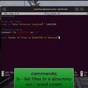 Shell Scripting Count Files In Any Directory Shorts Linux