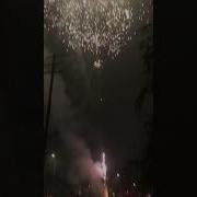 Rat Bastard Firework 200s