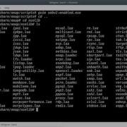 Mastering Nmap Analyzing Your First NSE Script Packtpub Com