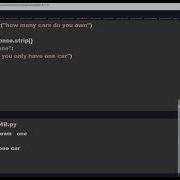 Python Level 1 Groundwork 4B Strip Upper Lower