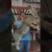 Amazing Animal Growth Journey Animals Wildlife Animaltransformations