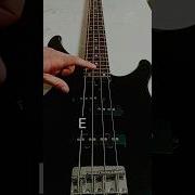 BASS TUNING Shorts Bass Tuning Video