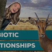 Symbiosis Mutualism Commensalism Parasitism