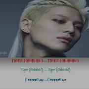 Taemin Shinee Tiger Color Coded Lyrics