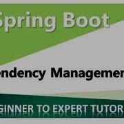 Spring Boot Tutorial 6 Dependency Management