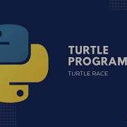 Turtle Race