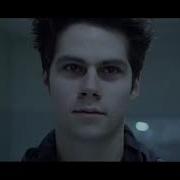 Void Stiles Animals TEEN WOLF