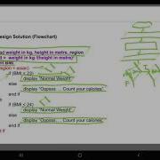 Nested Selection Flowchart