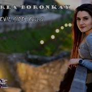Foxes Devil Side Andrea Boronkay Cover
