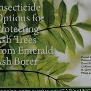 Pesticides And Biocontrol To Manage EAB