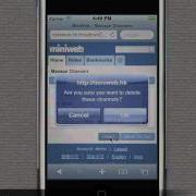 How To Use MiniWeb