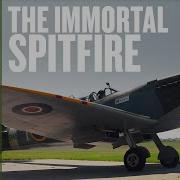 Does Anything Look And Sound Better Than A Spitfire