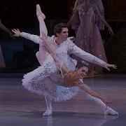 Grand Pas De Deux Adagio NUTCRACKER Tchaikovsky National Opera Of Ukraine
