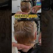 STEP By STEP PIXIE BOB HAIRCUT Full Tutorial Linked Below