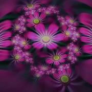 Soul Trance Brainchild