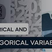 Types Of Data Categorical Vs Numerical Data