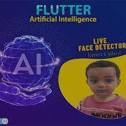 Flutter Live Face Detection Using Google S New Library Google S ML Kit Face Detection