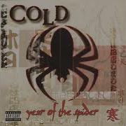 Cold Stupid Girl 528hz