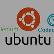 Ubuntu 20 04 Selenium Codeception Part3 Cоздание и запуск автотестов в Codeception