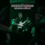 Internal Bleeding 11 24 2024 Amityville New York